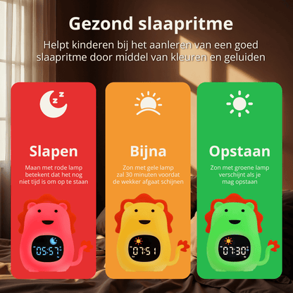 Leeuw Slaaptrainer